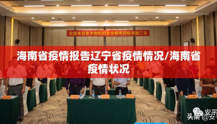 海南省疫情报告辽宁省疫情情况/海南省疫情状况