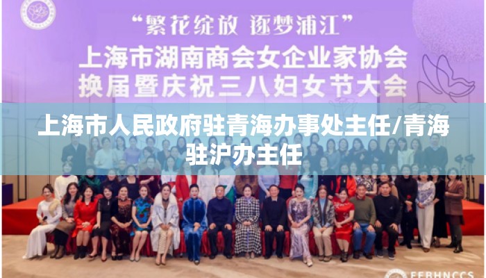 上海市人民政府驻青海办事处主任/青海驻沪办主任