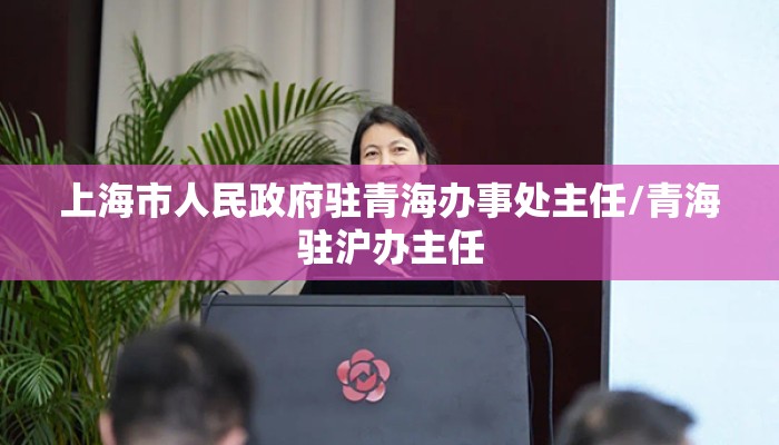 上海市人民政府驻青海办事处主任/青海驻沪办主任