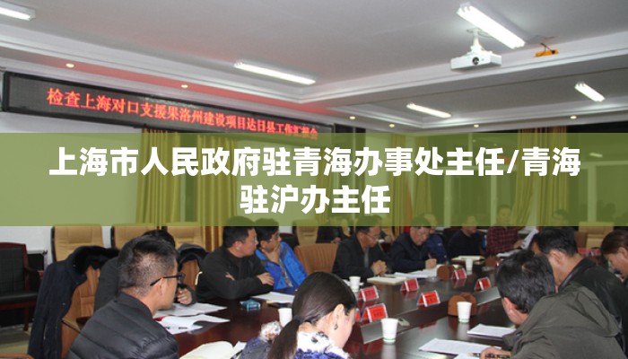 上海市人民政府驻青海办事处主任/青海驻沪办主任