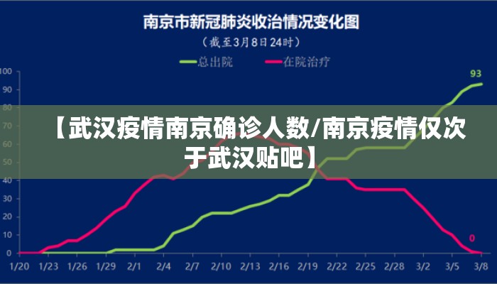 【武汉疫情南京确诊人数/南京疫情仅次于武汉贴吧】