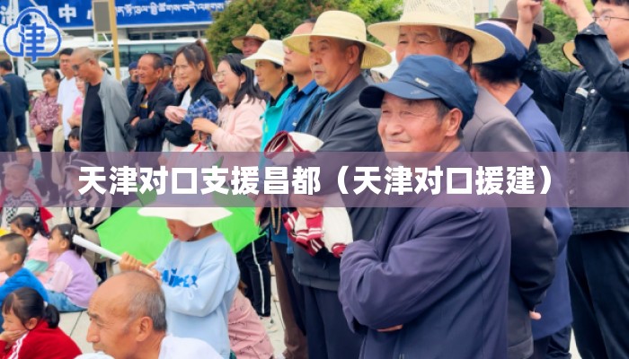 天津对口支援昌都（天津对口援建）