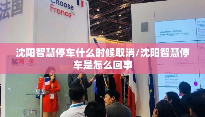 沈阳智慧停车什么时候取消/沈阳智慧停车是怎么回事