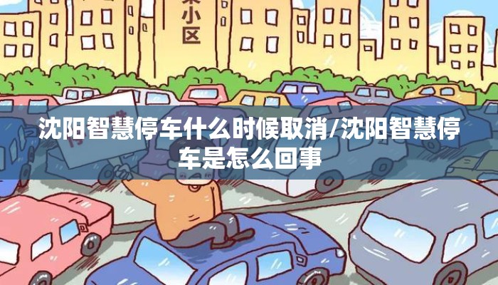 沈阳智慧停车什么时候取消/沈阳智慧停车是怎么回事