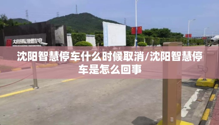 沈阳智慧停车什么时候取消/沈阳智慧停车是怎么回事