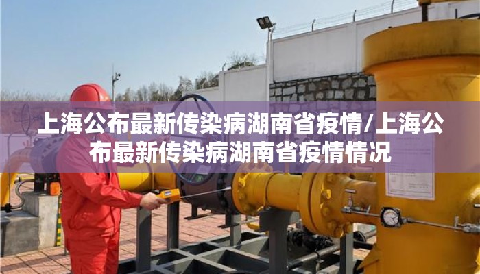 上海公布最新传染病湖南省疫情/上海公布最新传染病湖南省疫情情况