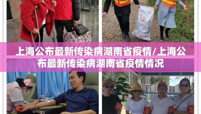 上海公布最新传染病湖南省疫情/上海公布最新传染病湖南省疫情情况