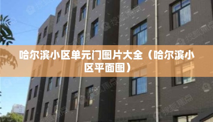 哈尔滨小区单元门图片大全（哈尔滨小区平面图）