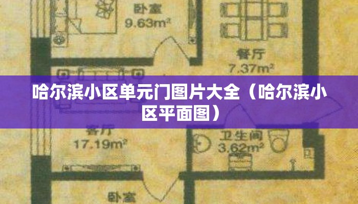 哈尔滨小区单元门图片大全（哈尔滨小区平面图）