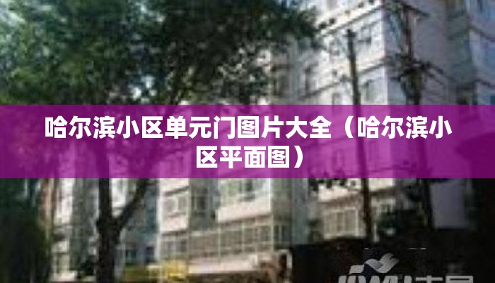 哈尔滨小区单元门图片大全（哈尔滨小区平面图）