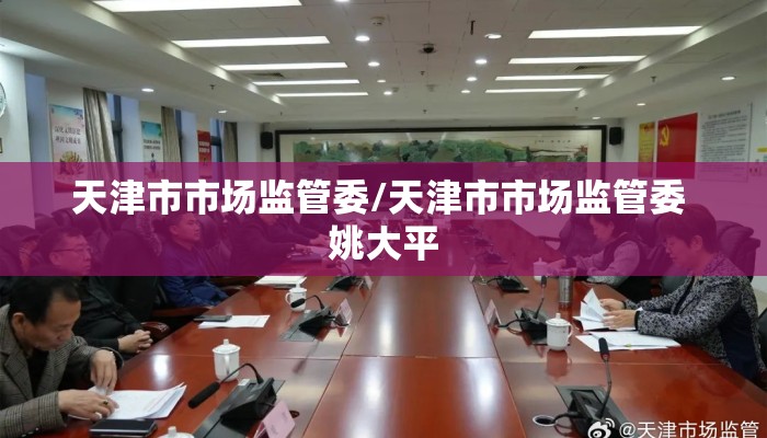 天津市市场监管委/天津市市场监管委 姚大平