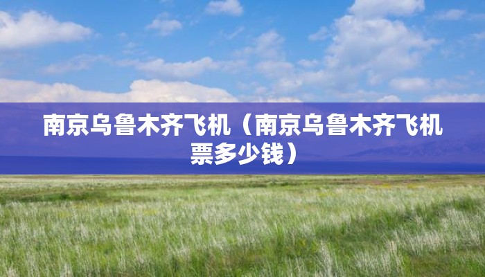 南京乌鲁木齐飞机（南京乌鲁木齐飞机票多少钱）