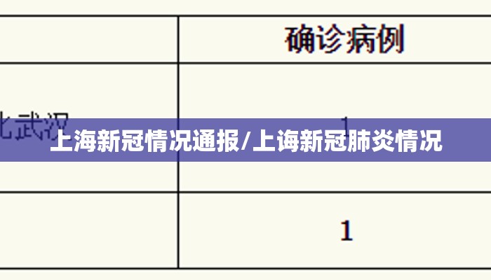 上海新冠情况通报/上诲新冠肺炎情况