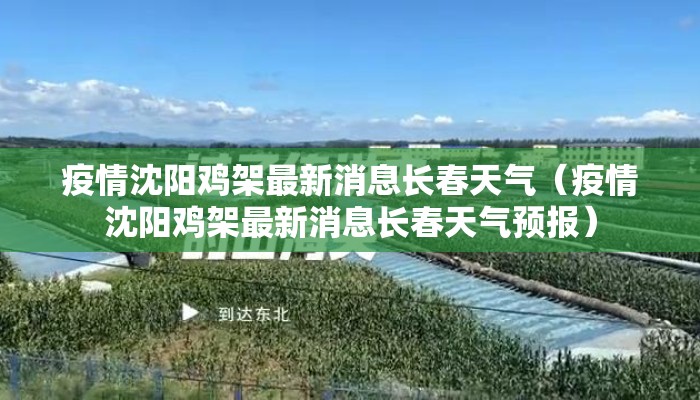 疫情沈阳鸡架最新消息长春天气（疫情沈阳鸡架最新消息长春天气预报）