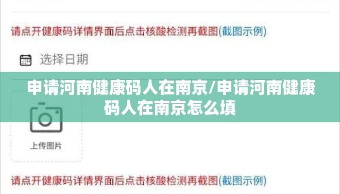 申请河南健康码人在南京/申请河南健康码人在南京怎么填