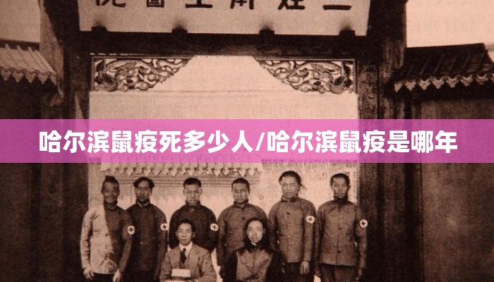 哈尔滨鼠疫死多少人/哈尔滨鼠疫是哪年