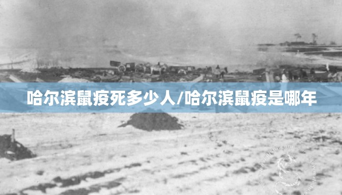 哈尔滨鼠疫死多少人/哈尔滨鼠疫是哪年