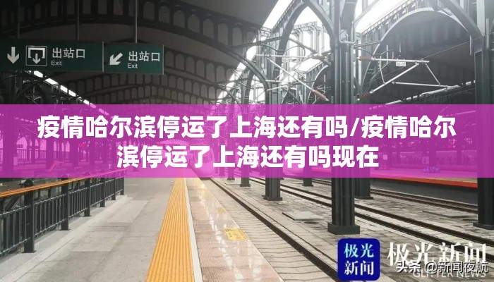 疫情哈尔滨停运了上海还有吗/疫情哈尔滨停运了上海还有吗现在