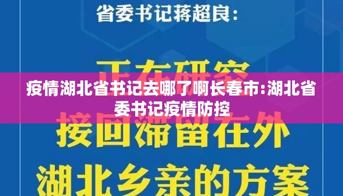 疫情湖北省书记去哪了啊长春市:湖北省委书记疫情防控