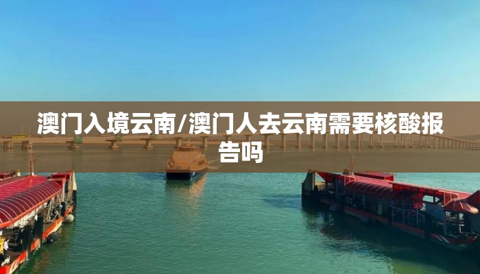 澳门入境云南/澳门人去云南需要核酸报告吗
