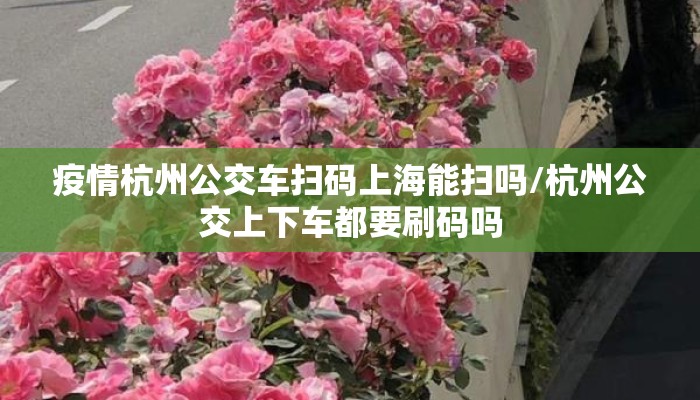 疫情杭州公交车扫码上海能扫吗/杭州公交上下车都要刷码吗