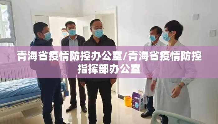 青海省疫情防控办公室/青海省疫情防控指挥部办公室