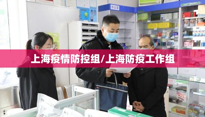 上海疫情防控组/上海防疫工作组