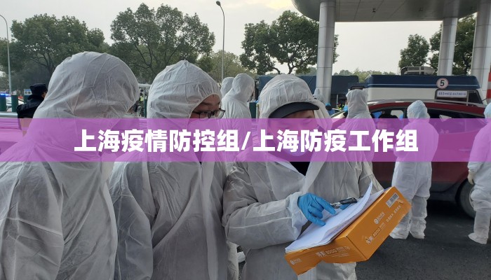 上海疫情防控组/上海防疫工作组