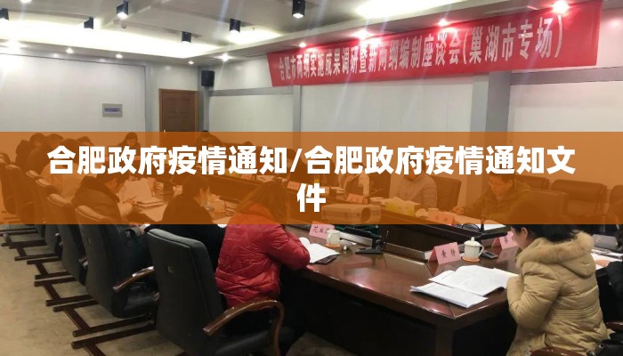 合肥政府疫情通知/合肥政府疫情通知文件