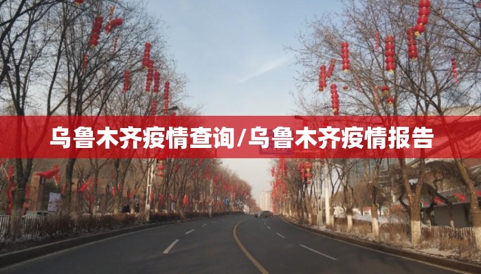 乌鲁木齐疫情查询/乌鲁木齐疫情报告