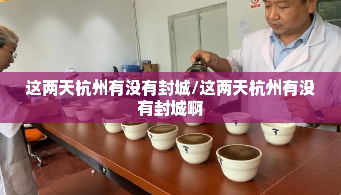 这两天杭州有没有封城/这两天杭州有没有封城啊