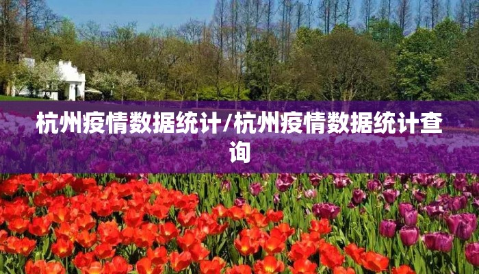 杭州疫情数据统计/杭州疫情数据统计查询