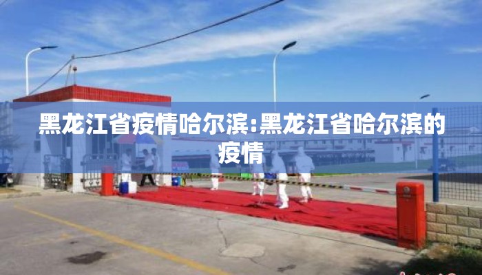 黑龙江省疫情哈尔滨:黑龙江省哈尔滨的疫情