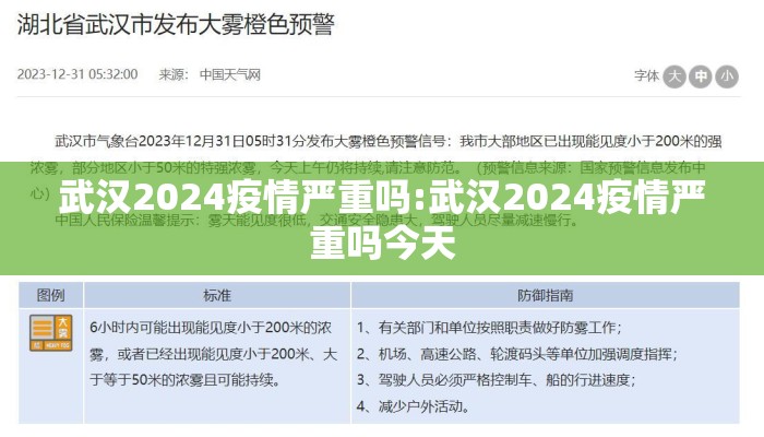 武汉2024疫情严重吗:武汉2024疫情严重吗今天