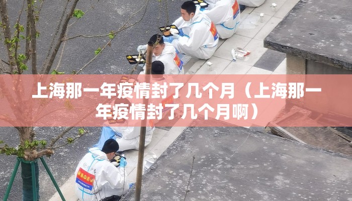 上海那一年疫情封了几个月（上海那一年疫情封了几个月啊）