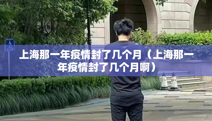 上海那一年疫情封了几个月（上海那一年疫情封了几个月啊）