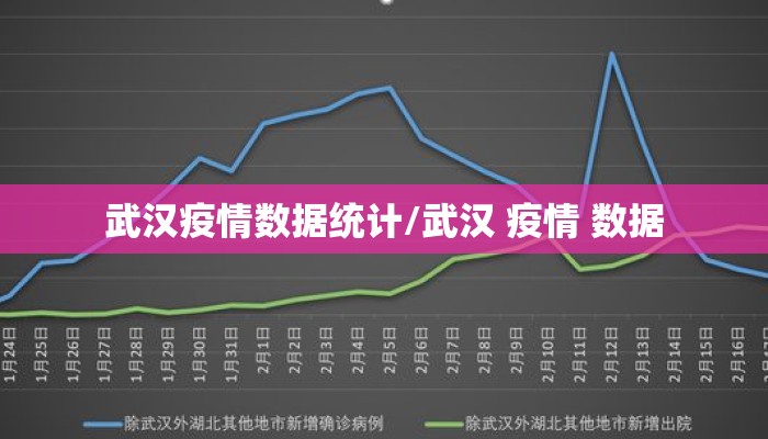 武汉疫情数据统计/武汉 疫情 数据