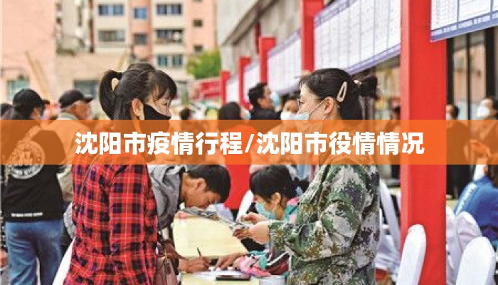 沈阳市疫情行程/沈阳市役情情况
