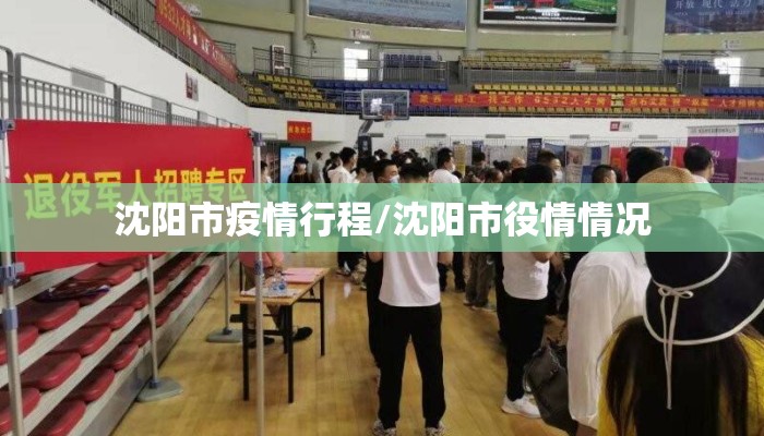 沈阳市疫情行程/沈阳市役情情况