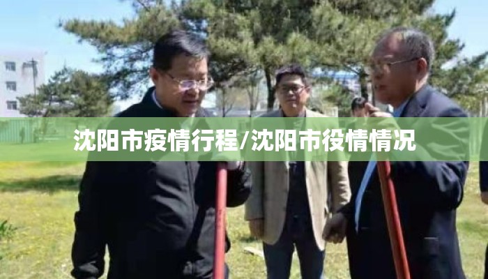沈阳市疫情行程/沈阳市役情情况
