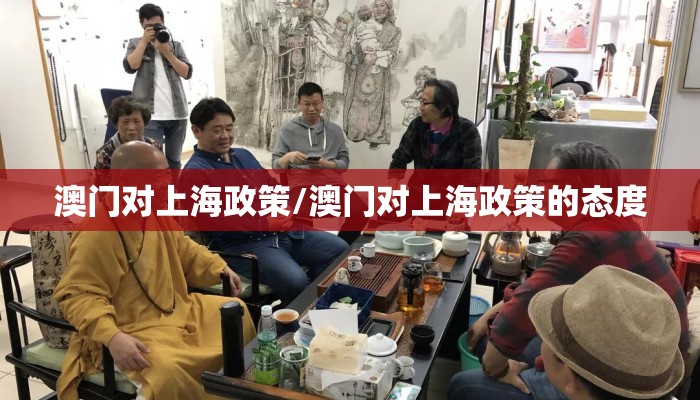 澳门对上海政策/澳门对上海政策的态度