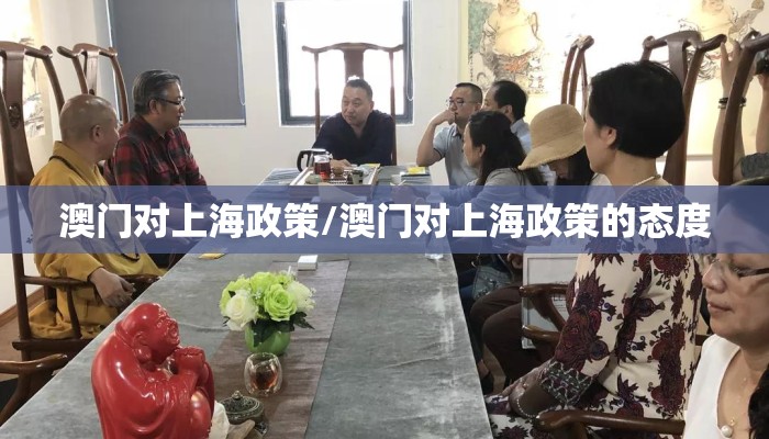 澳门对上海政策/澳门对上海政策的态度