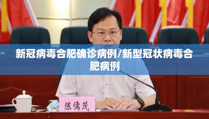 新冠病毒合肥确诊病例/新型冠状病毒合肥病例
