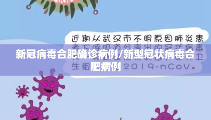 新冠病毒合肥确诊病例/新型冠状病毒合肥病例