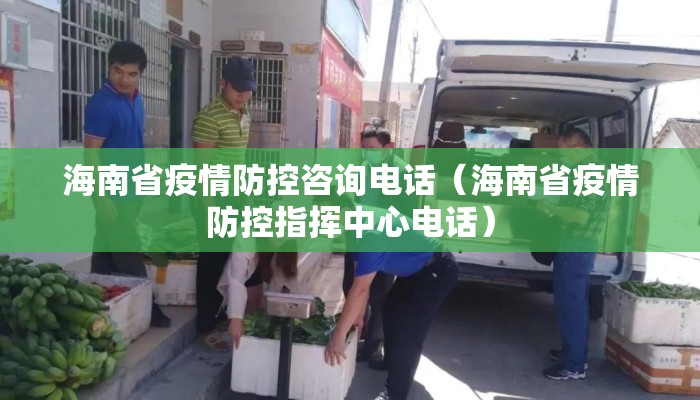 海南省疫情防控咨询电话（海南省疫情防控指挥中心电话）