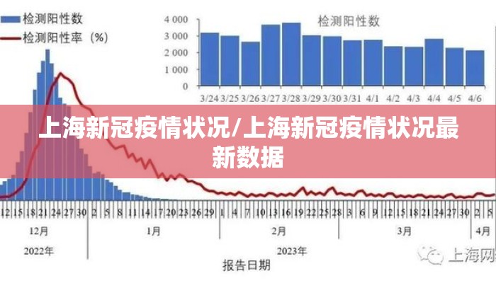 上海新冠疫情状况/上海新冠疫情状况最新数据