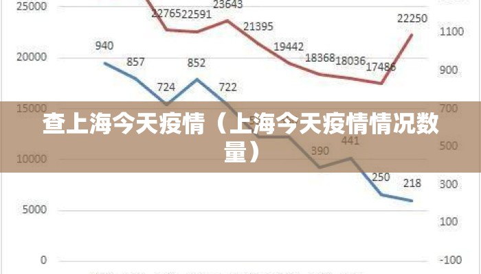 查上海今天疫情（上海今天疫情情况数量）