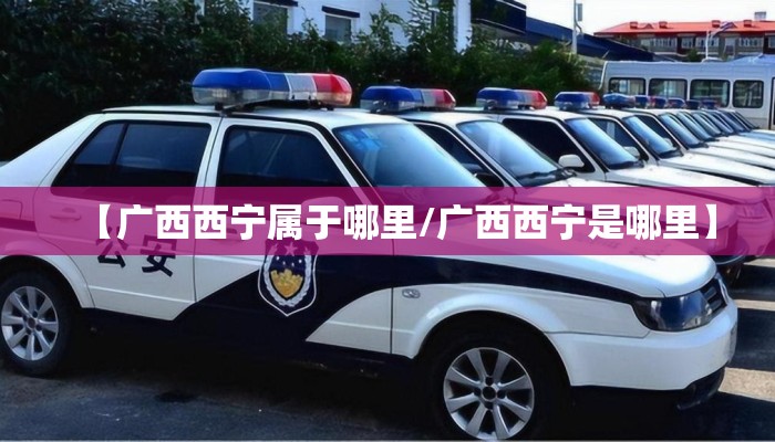 【广西西宁属于哪里/广西西宁是哪里】