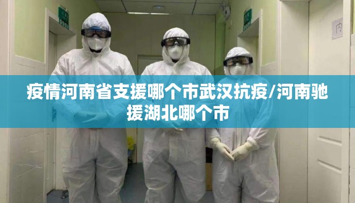 疫情河南省支援哪个市武汉抗疫/河南驰援湖北哪个市