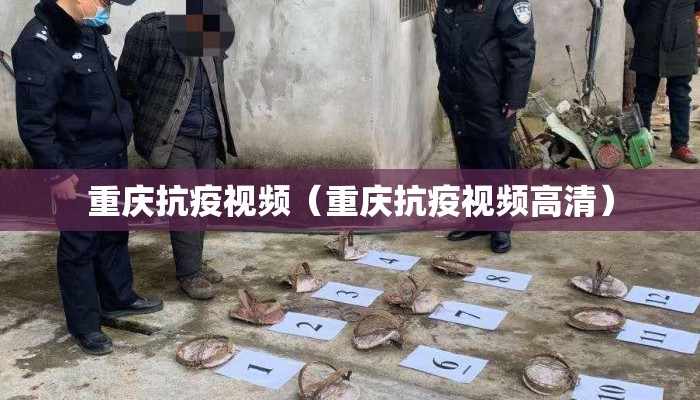 重庆抗疫视频（重庆抗疫视频高清）